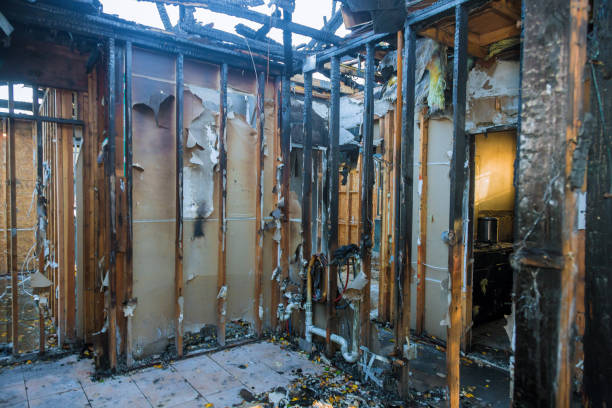 Professional Soot Cleanup technician working in Webster Groves, MO
